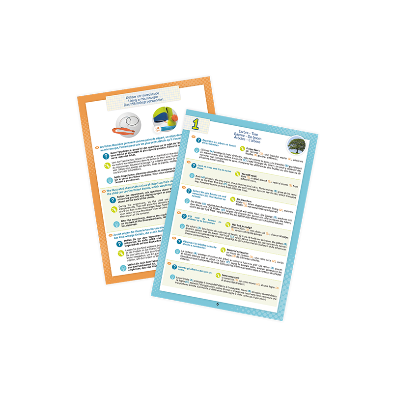 Mikroskop Mini Sciences 10 Doświadczeń - Buki
