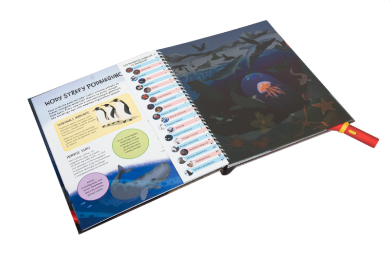 Tajemnice głębin oceanu Podmorska wyprawa z latarką w ręku – dla odważnych nurków!