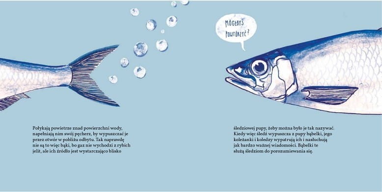 Pupy, ogonki i kuperki - Mikołaj Golachowski