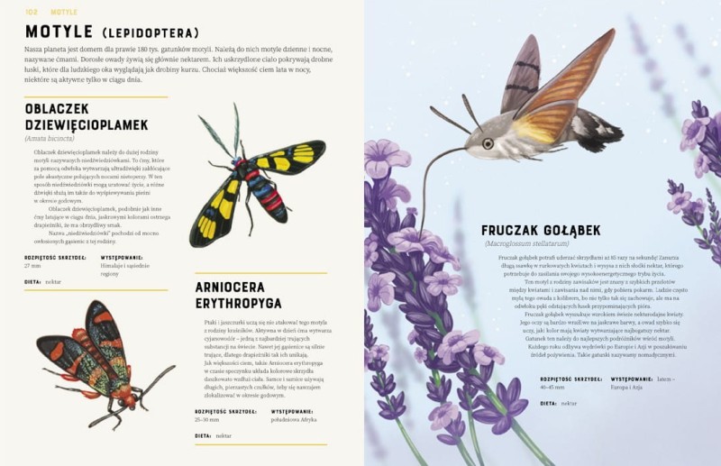 Owady od A do Z -  Jules Howard - Prawie 300 Gatunków