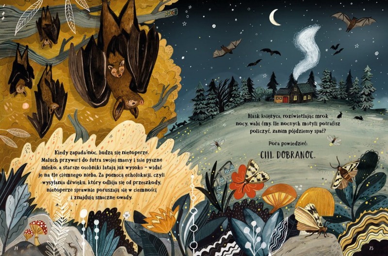 Tajemniczy las - Sandra Dieckmann