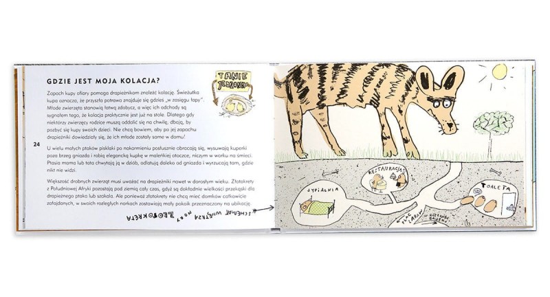 Kupa. Przyrodnicza wycieczka na stronę - Nicola Davies