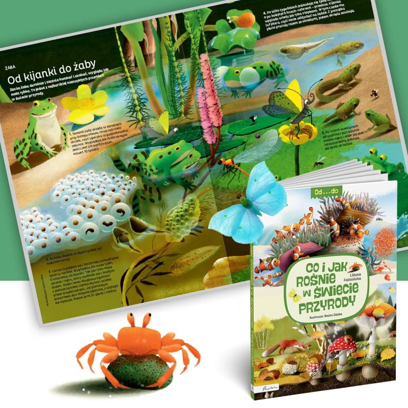 Co i jak rośnie w świecie przyrody. Od...do.