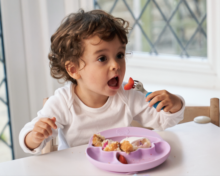 Talerzyk z Przyssawką i Przegródkami Fioletowy - Nana's Manners