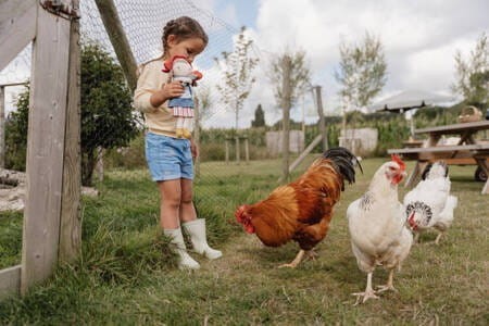 Lalka Gospodyni Rosa z Tulipanem - Little Dutch