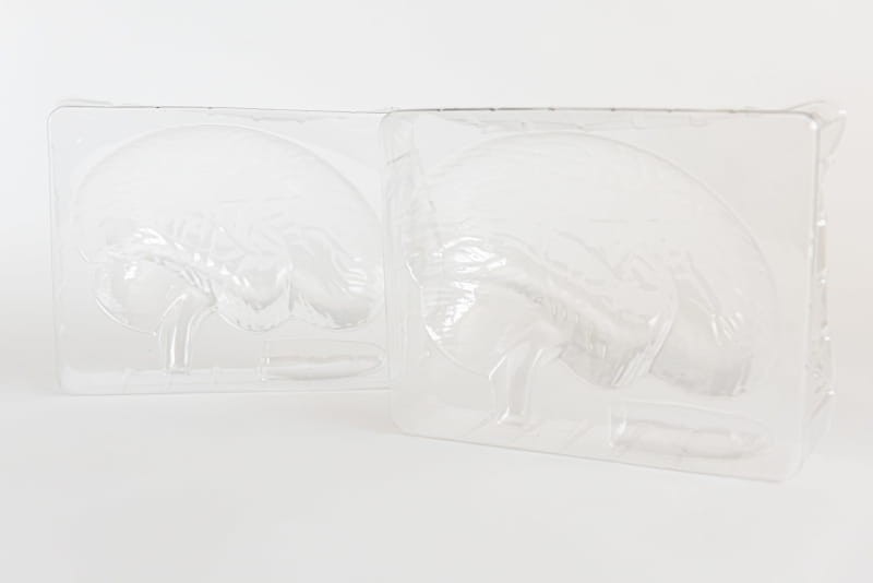 Laboratorium Zwariowanej Anatomii - Lisciani