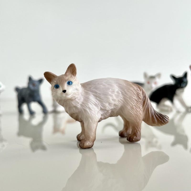 Figurki kotów 11 szt. w tubie Safari Ltd.