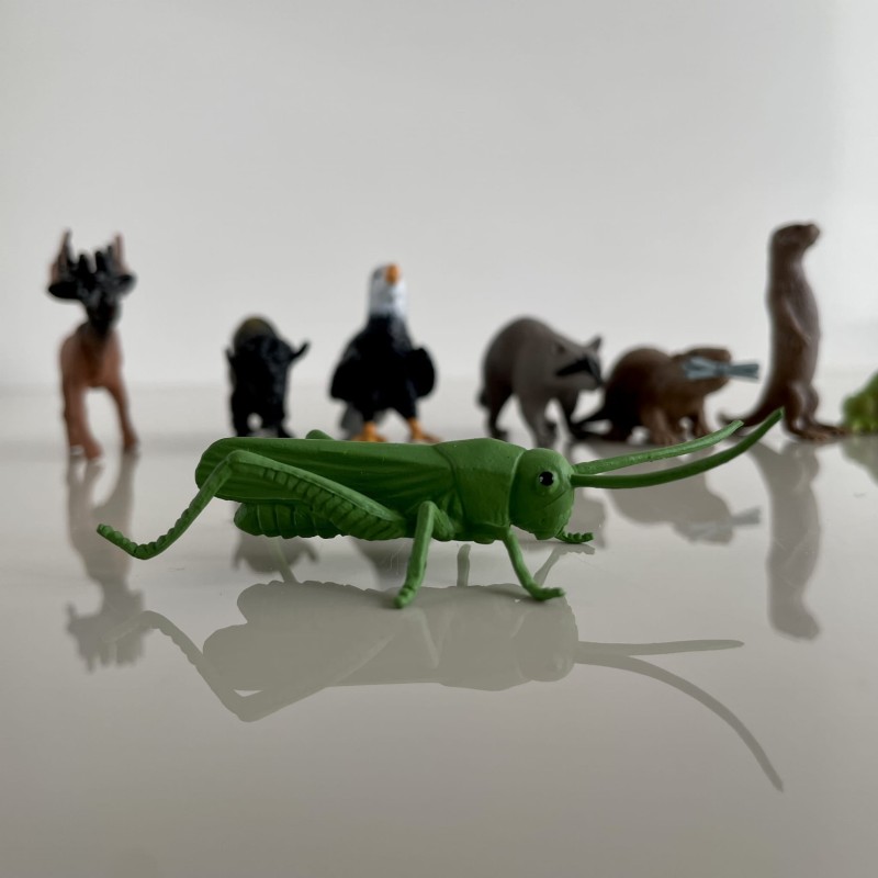 Zwierzęta Leśne 12 szt. Zestaw Figurek w Tubie Safari Ltd.