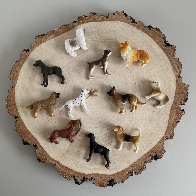 Figurki psów 11 szt. w tubie Safari Ltd.