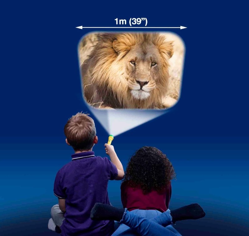 Projektor Latarka Zwierzęta Egzotyczne - Brainstorm