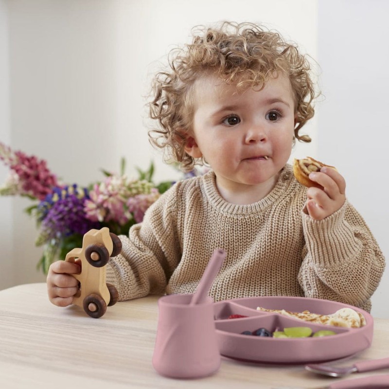 Talerzyk z Przyssawką i Przegródkami Różowy - Everyday Baby