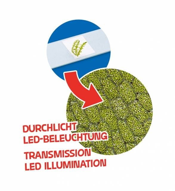 Mikroskop dla dzieci 40x-640x z Akcesoriami fioletowy - Bresser Junior