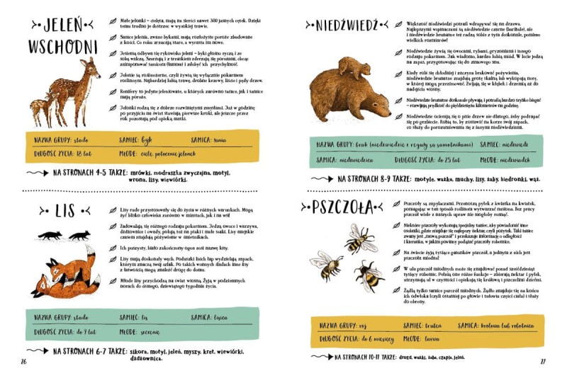 Tajemniczy las - Sandra Dieckmann