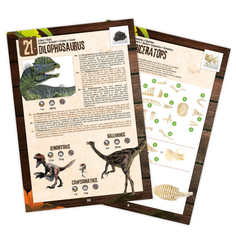 Dinozaury Pudełko Pełne Niespodzianek - Buki