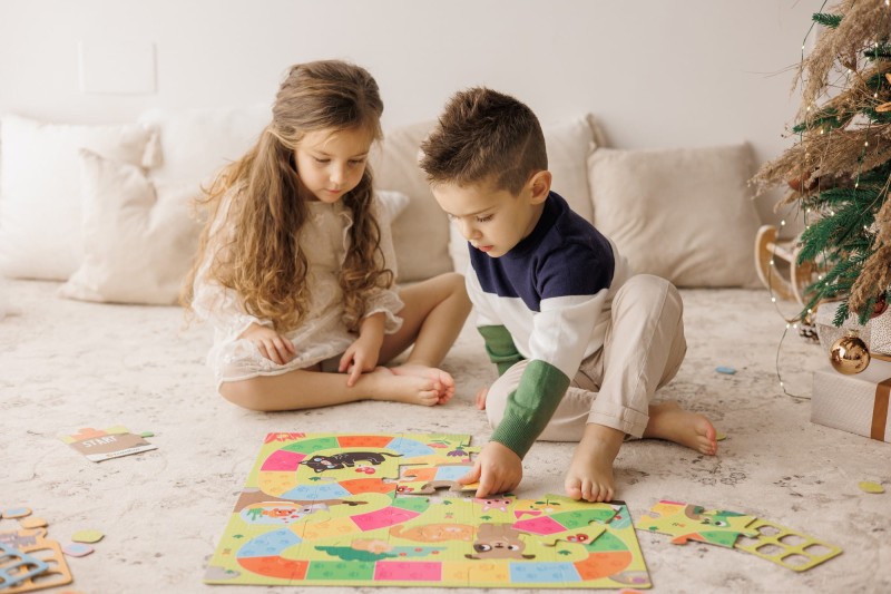 Gra planszowa Jak Zajmować Się Zwierzątkiem Ludattica