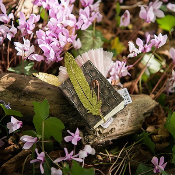 Projektor Historii w Książce - Moulin Roty