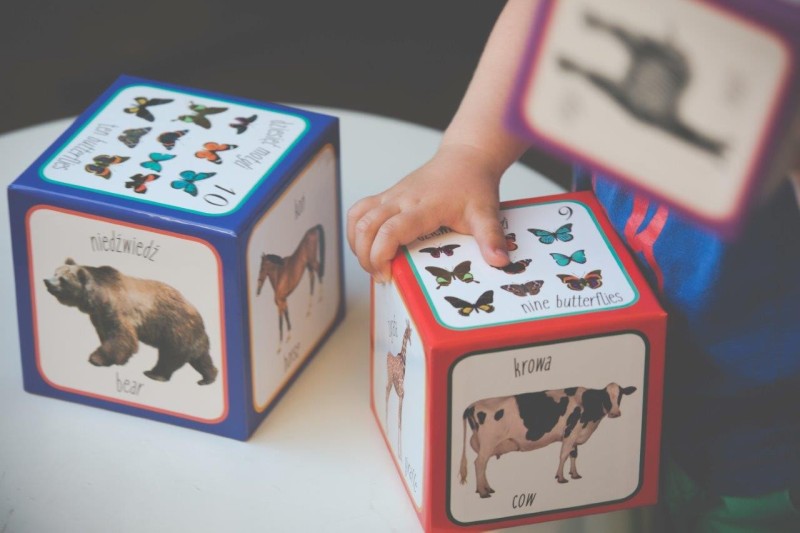 Kartonowe Klocki Wieża Zwierzęta - Piramida Zabaw