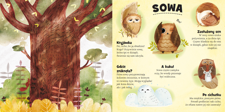 Kto się chowa w lesie i na śniegu?