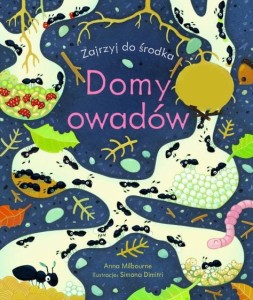 Domy owadów. Zajrzyj do środka. Książka z okienkami