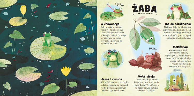 Kto się chowa w lesie i na śniegu?