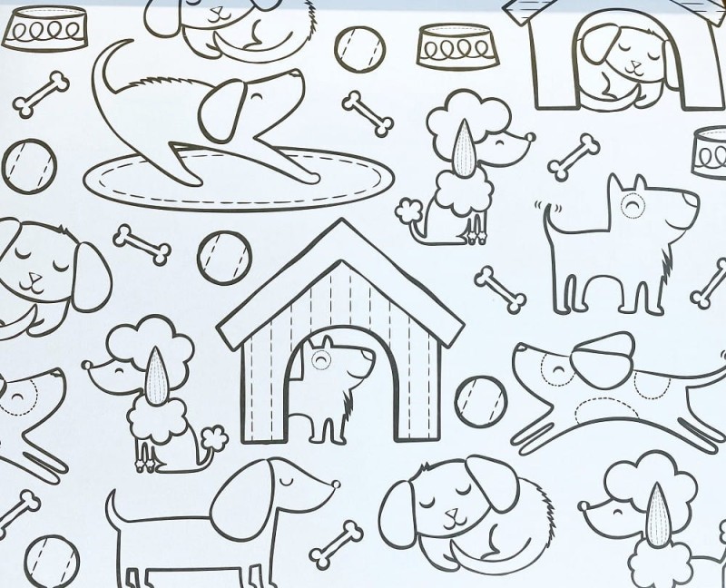 Kolorowanka Leśni Przyjaciele - Ooly