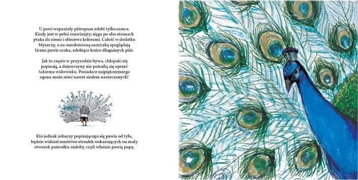 Pupy, ogonki i kuperki - Mikołaj Golachowski