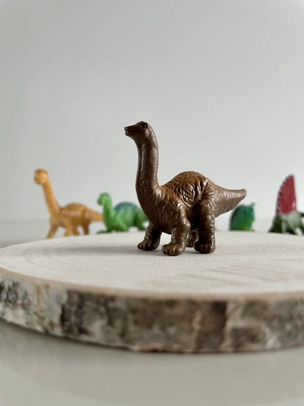 Dinozaury 12 szt. Zestaw Figurek w Tubie Safari Ltd.