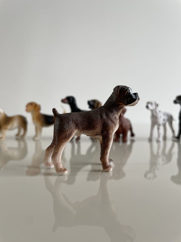 Figurki psów 11 szt. w tubie Safari Ltd.
