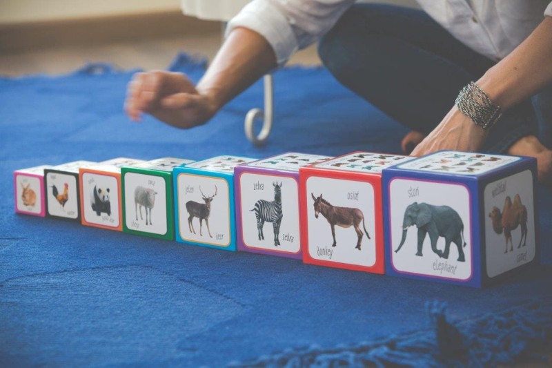 Kartonowe Klocki Wieża Zwierzęta - Piramida Zabaw