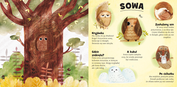 Kto się chowa w lesie i na śniegu?