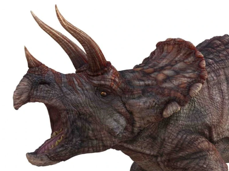 Projektor z Latarką Dinozaury - Brainstorm