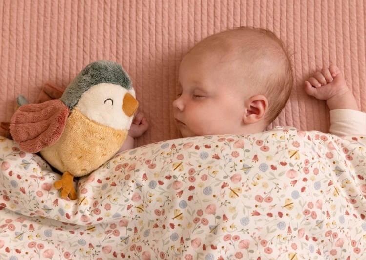 Zestaw na prezent dla Niemowlaka Flowers & Butterflies Giftbox - Little Dutch