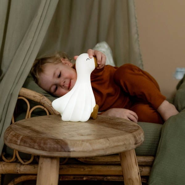 Lampka nocna LED Little Goose - Little Dutch
