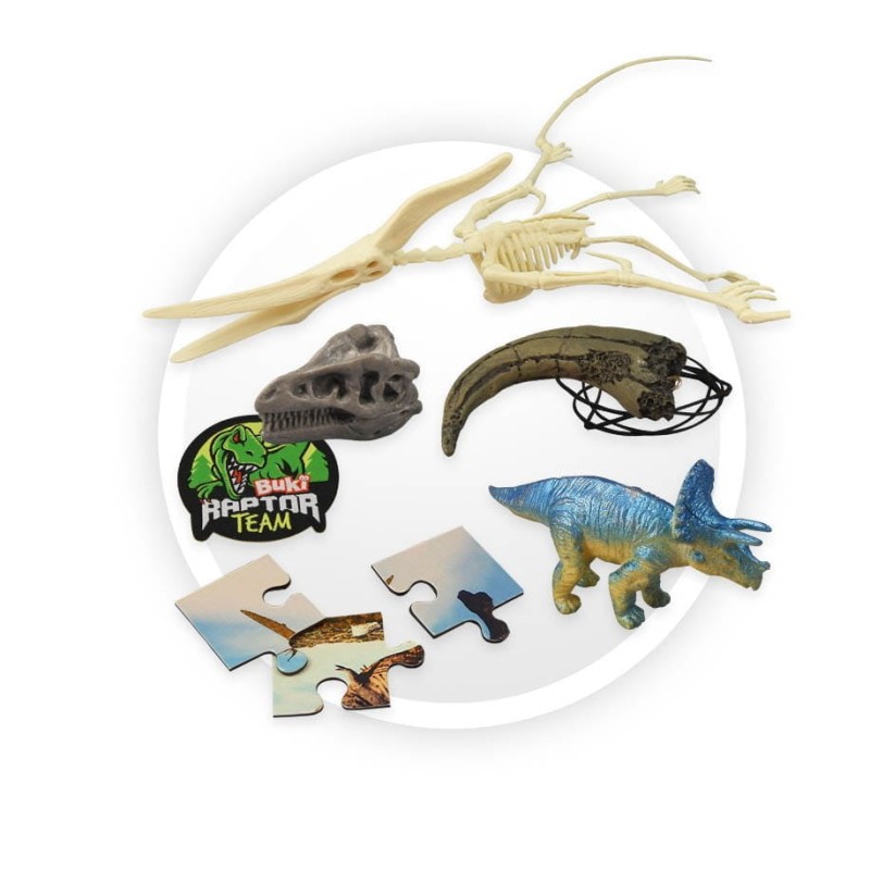 Dinozaury Pudełko Pełne Niespodzianek - Buki