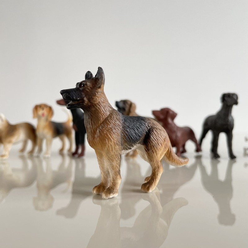 Figurki psów 11 szt. w tubie Safari Ltd.