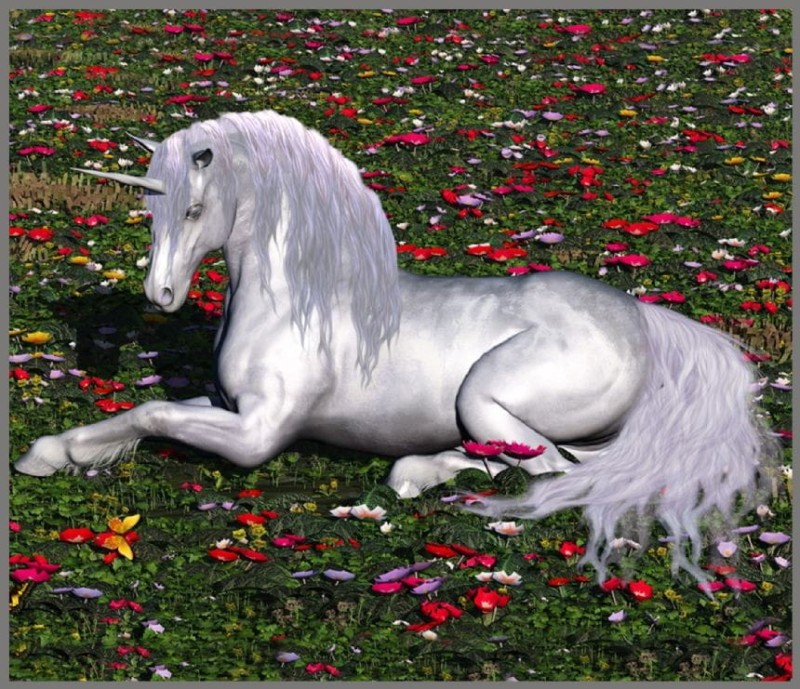 Projektor Latarka Wróżki i Jednorożce - Brainstorm