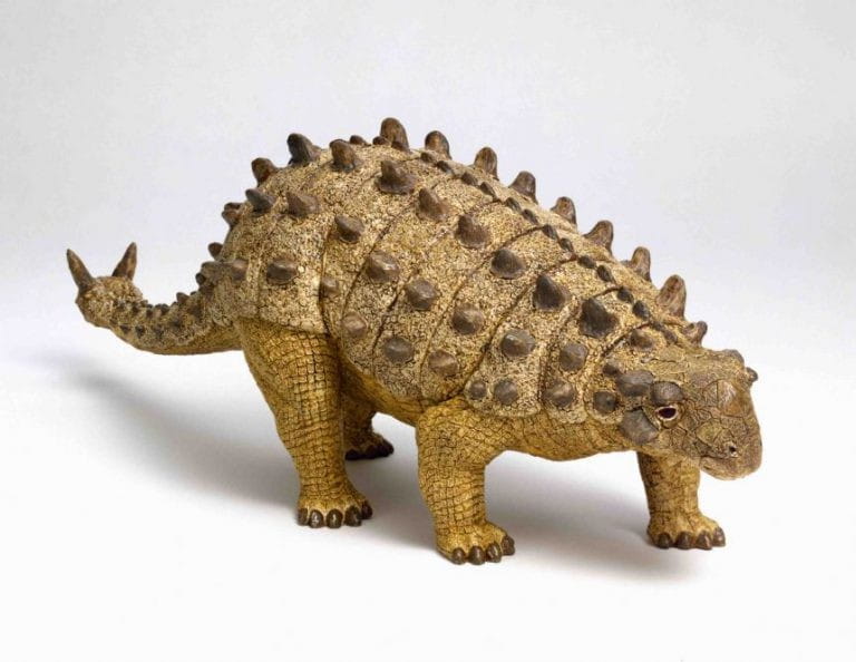 Projektor z Latarką Dinozaury - Brainstorm