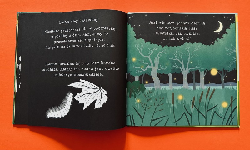 Podświetl i Odkryj. Ale Robale