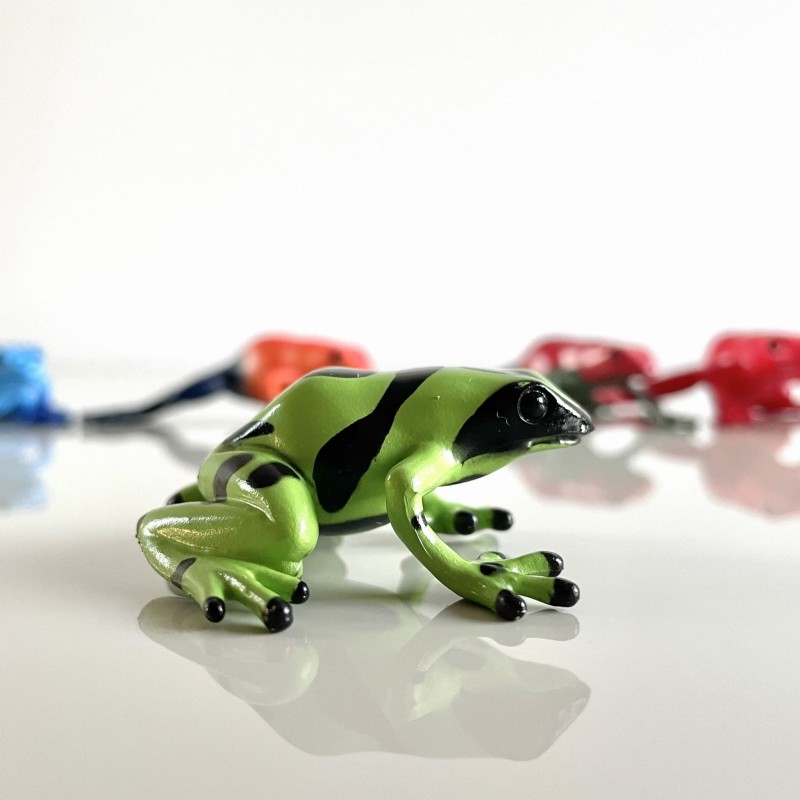 Żaby Trujące Drzewołazy. Zestaw Figurek w Tubie Safari Ltd.