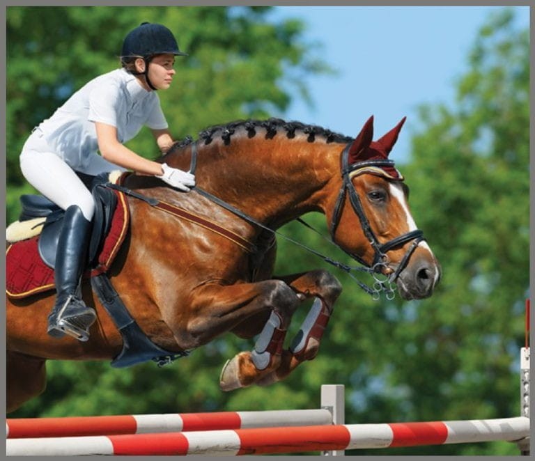 Projektor Latarka Konie - Brainstorm