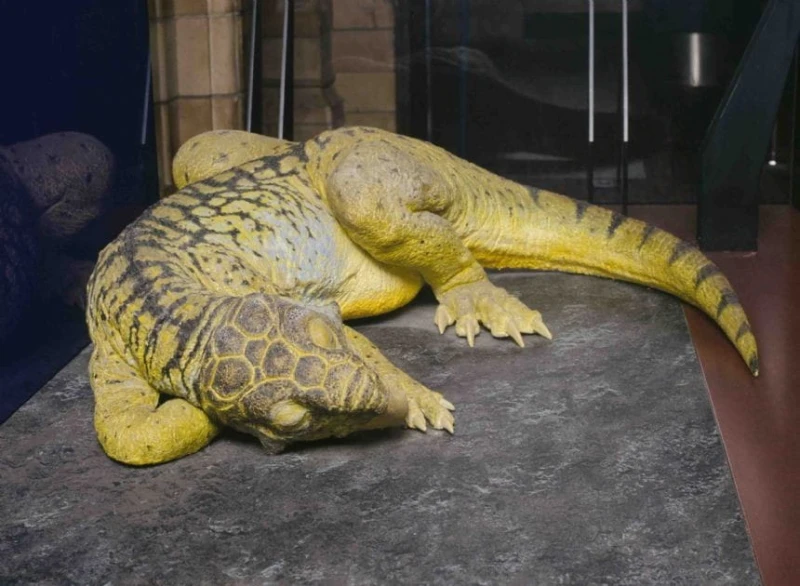 Projektor z Latarką Dinozaury - Brainstorm