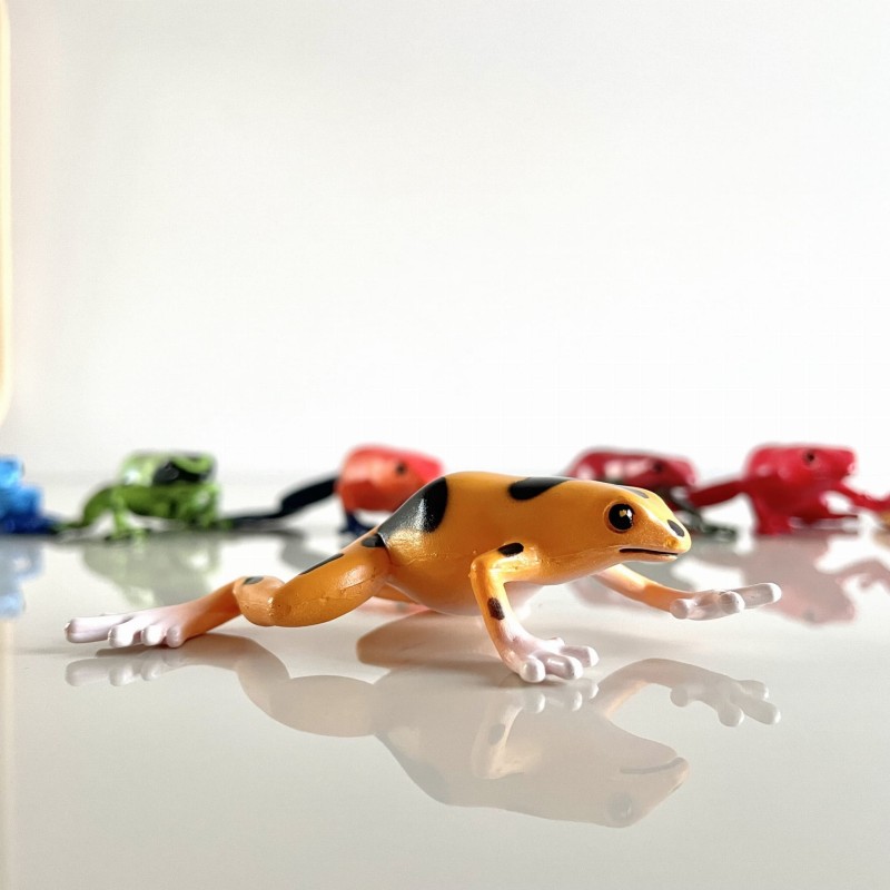 Żaby Trujące Drzewołazy. Zestaw Figurek w Tubie Safari Ltd.