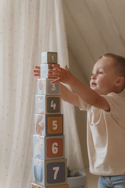 Kartonowe pudełka wieża Zwierzęta z Lasu Little Dutch
