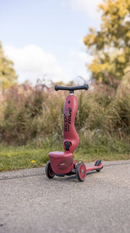Hulajnoga Jeździk 2w1 ze schowkiem Highwaykick 1 Lifestyle Wildcat Scoot & Ride