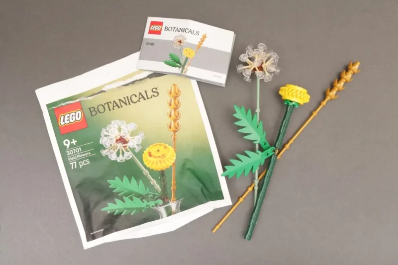LEGO-Botanicals-30701-Field-Flowers-review-5-1024x683.webp