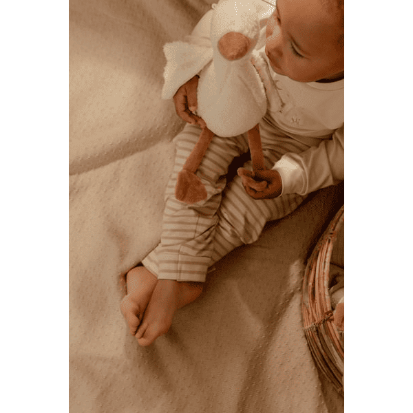 pol_pl_Little-Dutch-Przytulanka-gaska-25-cm-Newborn-Naturals-5356_3.png