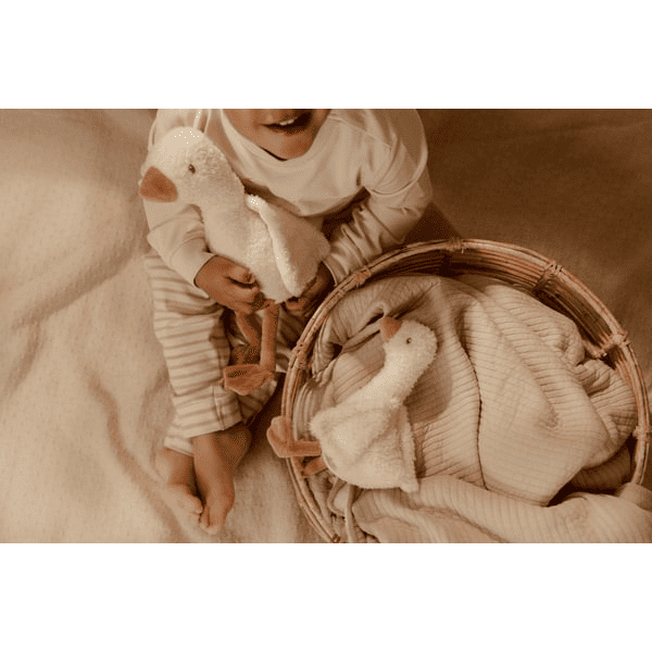pol_pl_Little-Dutch-Przytulanka-gaska-25-cm-Newborn-Naturals-5356_5.png