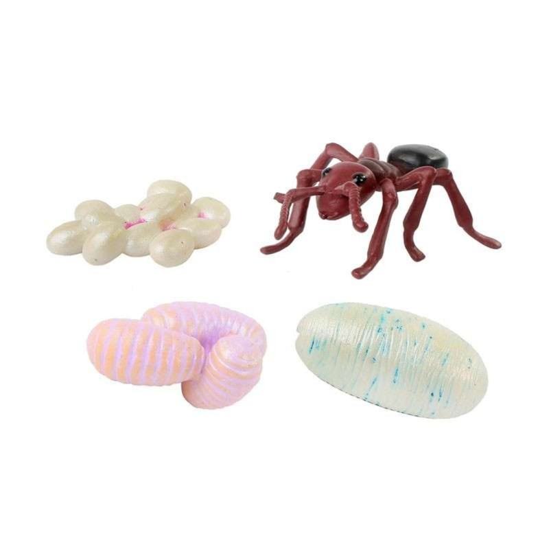 Ant-Life-Cycle-Figurines-195684_16758__95263.jpg