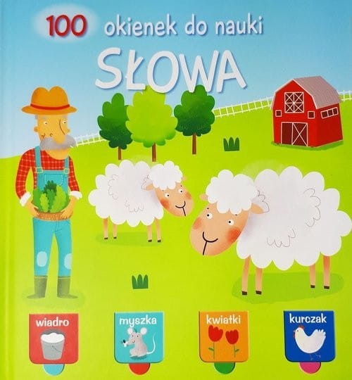 100 okienek do nauki. Słowa