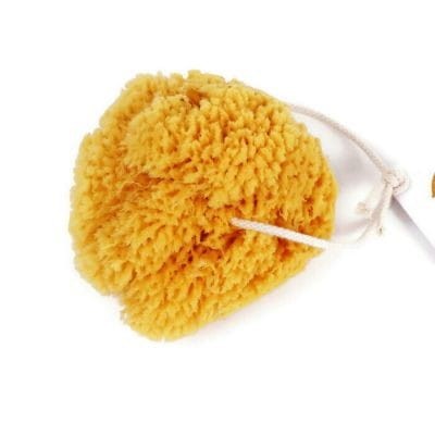 Naturalna Gąbka Morska Fine-Silk - Lemonii
